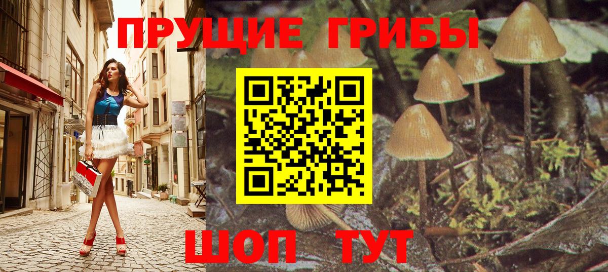 Псилоцибиновые грибы ЛСД  Псилоцибиновые грибы прущие грибы  Вход с VPN  Кандалакша 